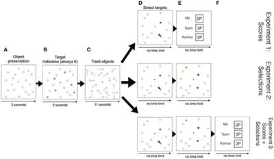 Two Trackers Are Better than One: Information about the Co-actor's Actions and Performance Scores Contribute to the Collective Benefit in a Joint Visuospatial Task